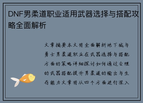 DNF男柔道职业适用武器选择与搭配攻略全面解析